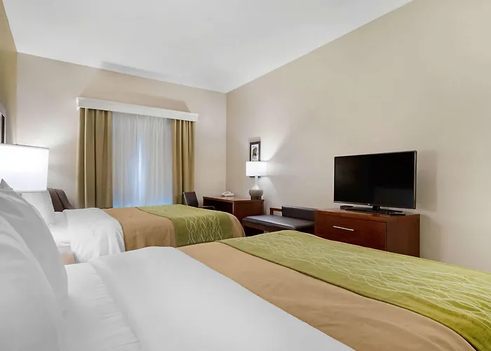 Comfort Inn & Suites Port Arthur-Port Neches