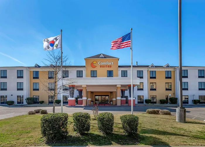 Comfort Suites Airport South