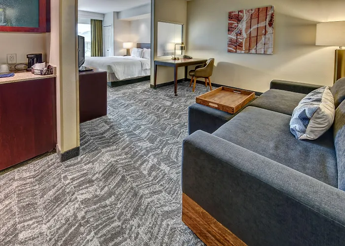 Springhill Suites By Marriott New Bern