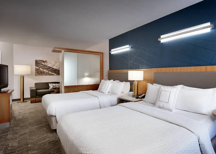 Springhill Suites By Marriott Provo