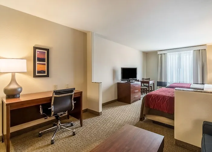 Comfort Inn & Suites Rifle