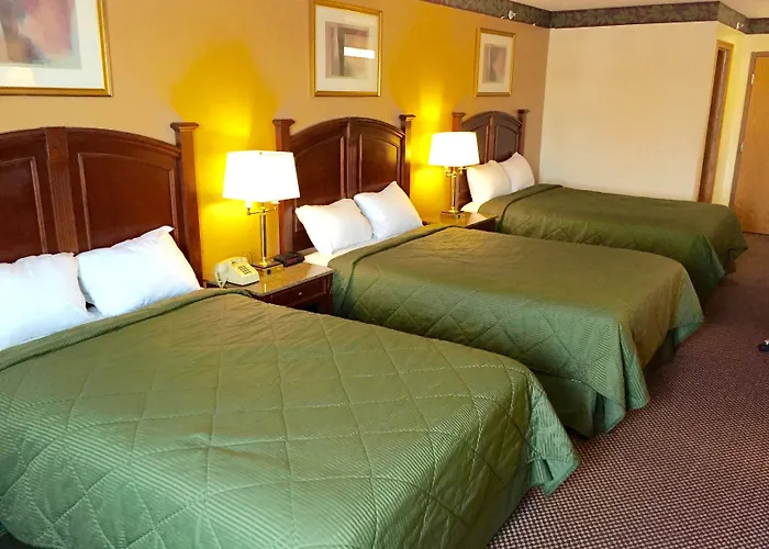 Executive Inn And Suites Waukegan