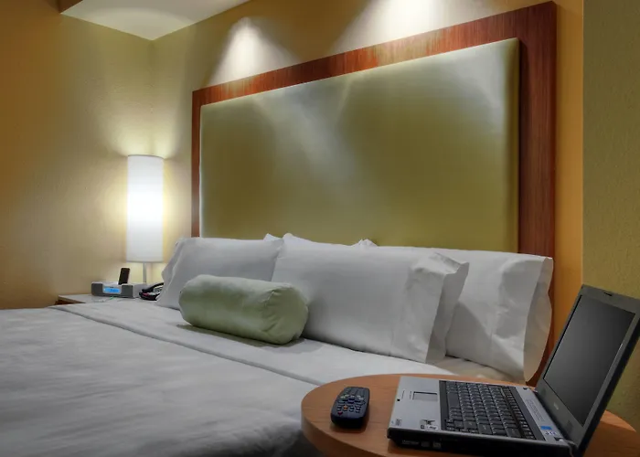 Springhill Suites By Marriott Baton Rouge North / Airport