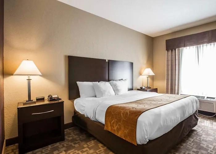 Comfort Suites Whitsett - Greensboro East
