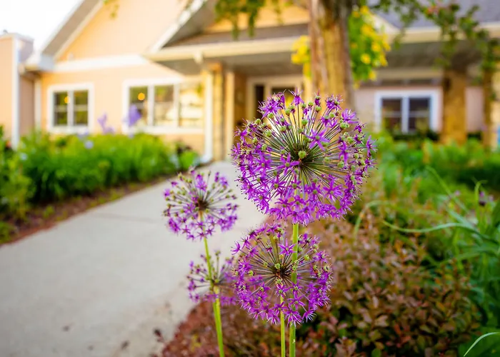 Westwood Shores Waterfront Resort