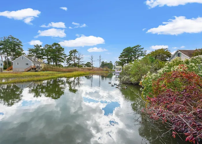 Island Estate - Pet Friendly, Private Pool & Dock!