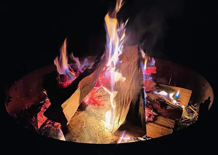 Starry Skies Campout Bring Your Own Tent No Bed Provided