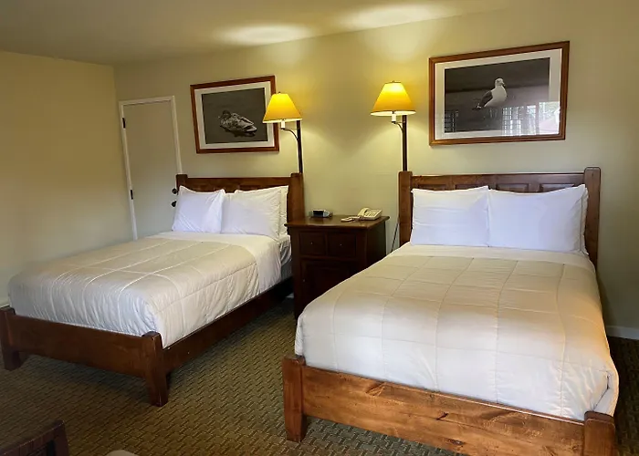The Olympia Lodge