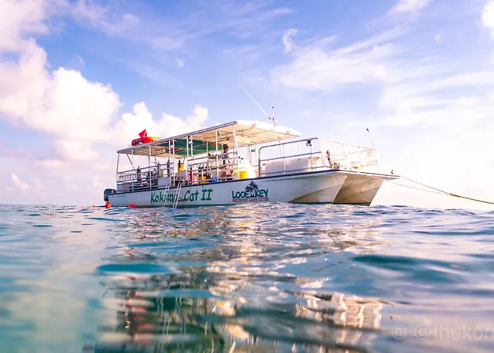 Looe Key Reef Resort And Dive Center
