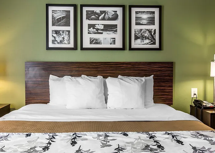 Sleep Inn & Suites Mount Olive North