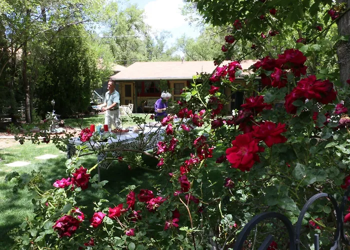 Apple Creek Cottages