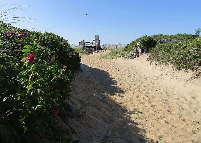 Sole Beach