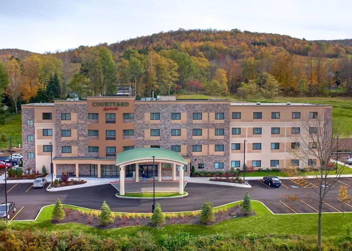 Courtyard By Marriott Oneonta