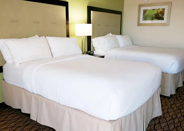 Holiday Inn Corpus Christi Downtown Marina By Ihg