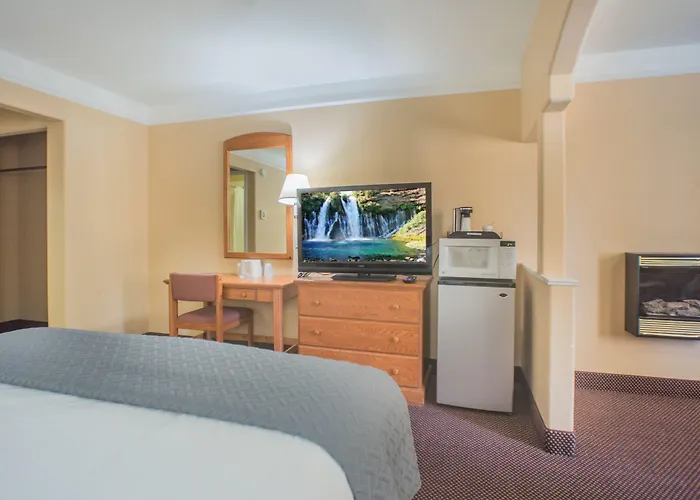 Shasta Pines Motel & Suites