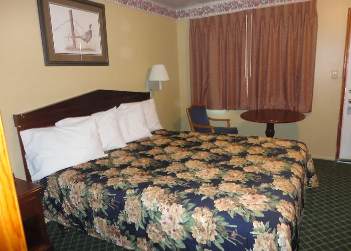 Colusa Motel