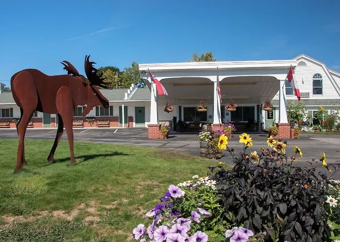 Top Notch Inn