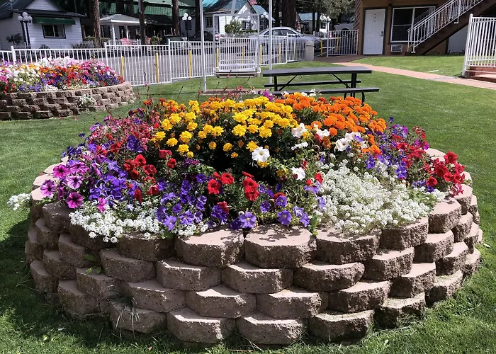Cedar Inn & Suites