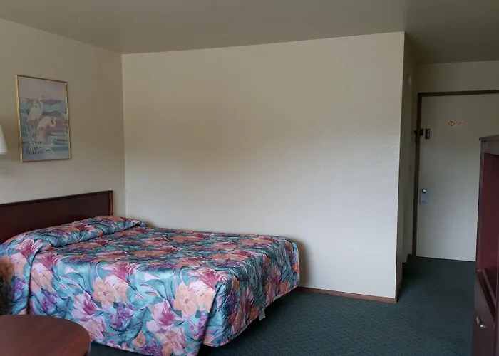 Safari Inn Motel