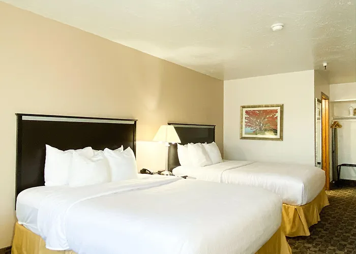 Quality Inn Vernal Near Dinosaur National Monument