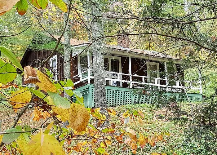 The Cabins At Healing Springs
