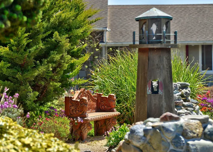 Surf Motel And Gardens