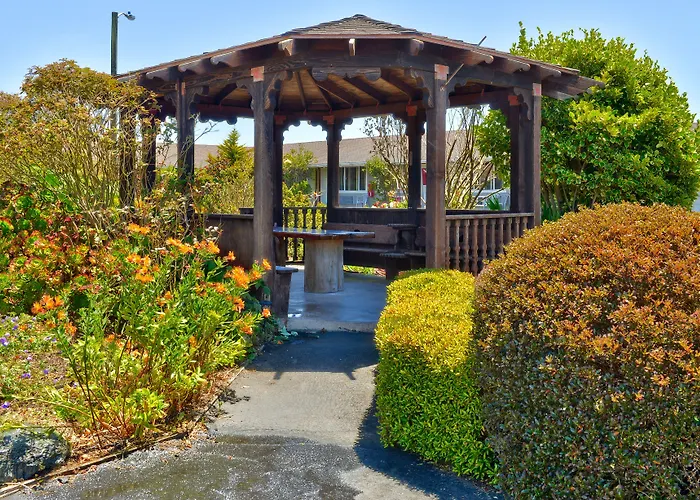 Surf Motel And Gardens
