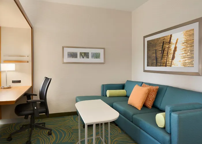 Springhill Suites By Marriott Tuscaloosa
