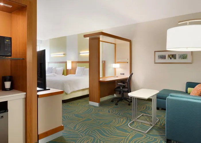 Springhill Suites By Marriott Tuscaloosa