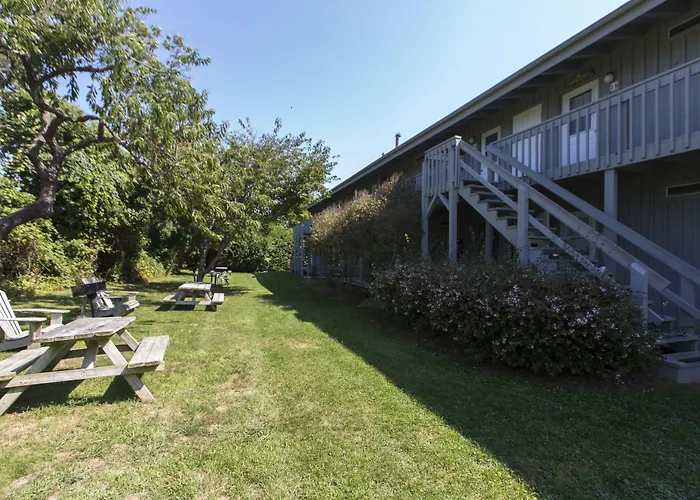 Beach Plum Resort
