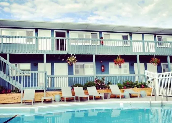 Haven Montauk