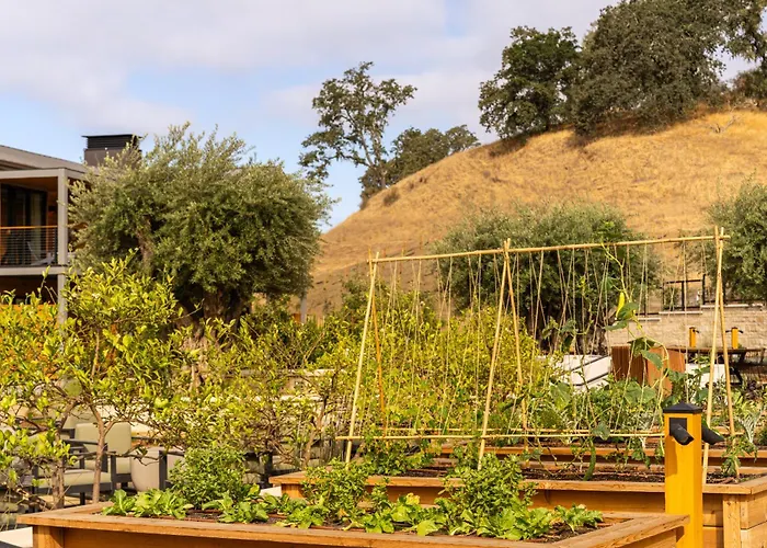 Appellation Healdsburg