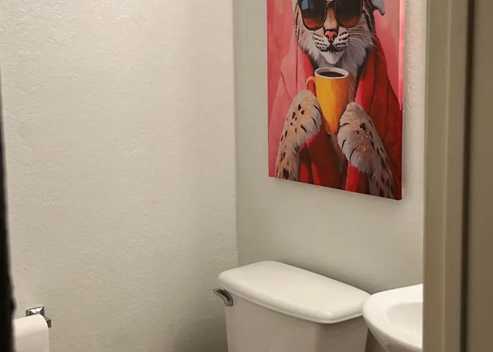 The Bobcat