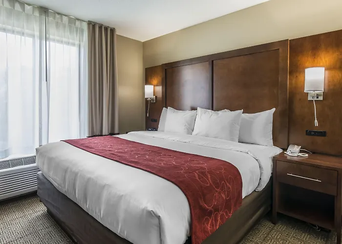 Comfort Suites Dunnellon Near Rainbow Springs