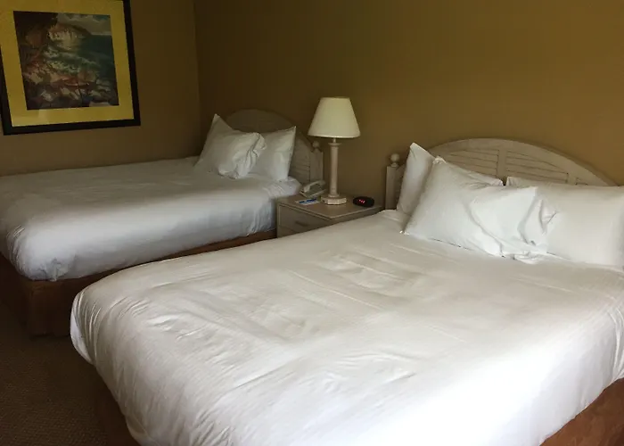 Waterview Casino & Hotel, Trademark Collection By Wyndham
