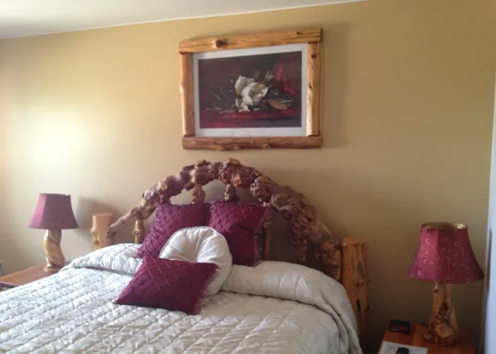 Buffalo Bill'S Antlers Inn