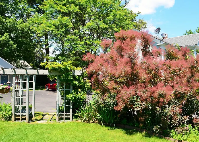 Maple Terrace