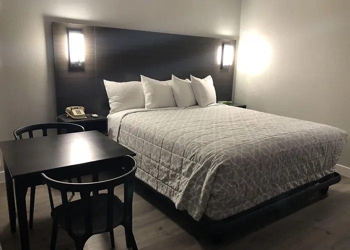 Sakura Inn (Adults Only)