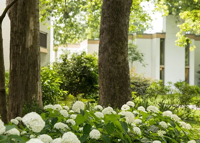 Griffin Hotel, An Official Colonial Williamsburg Hotel