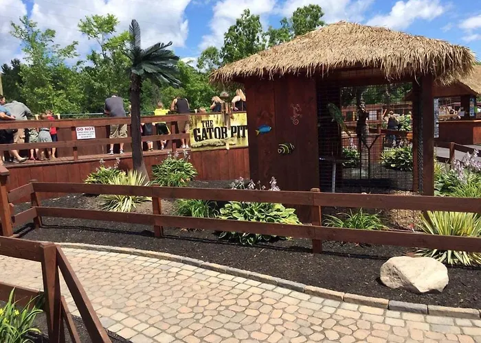 The Beachside Co
