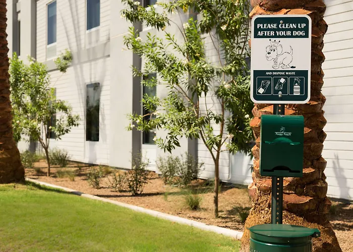 Home2 Suites By Hilton Phoenix Chandler