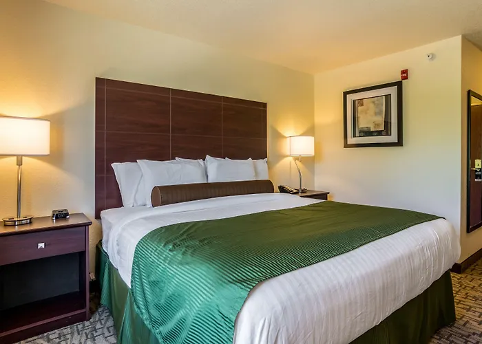 Cobblestone Hotel & Suites - Erie