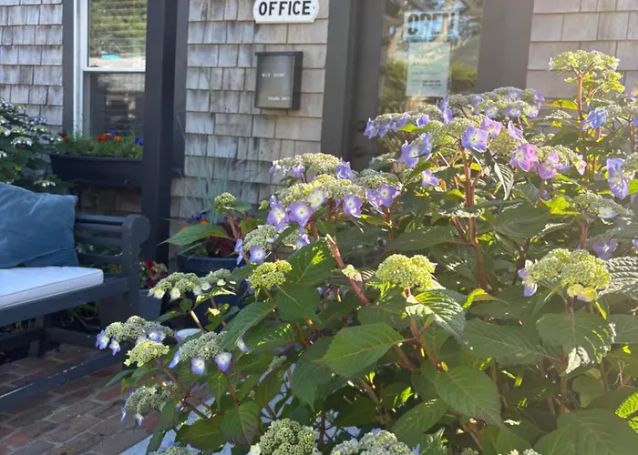 Cape Cod Veranda