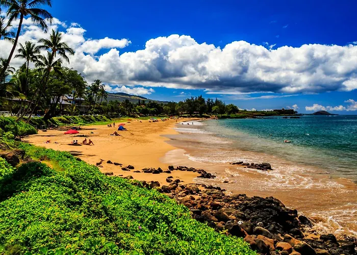Beautiful 1 Bedroom Condo With Ocean Views | Oceanfront