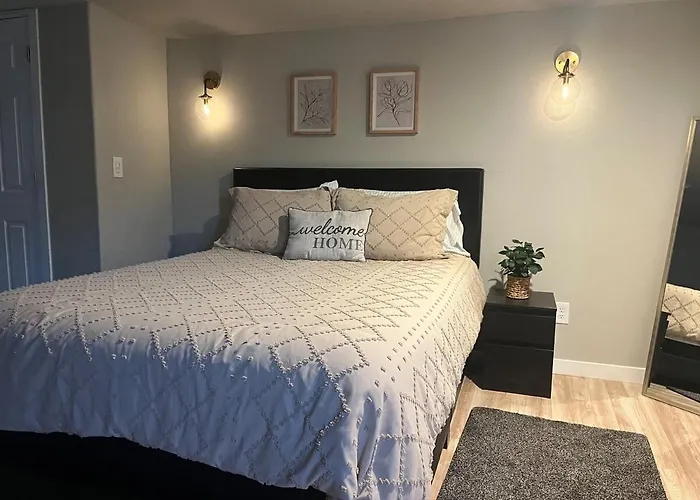 Delightful Studio