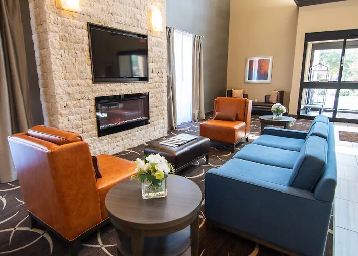 Comfort Suites Near Sam Houston Race Park