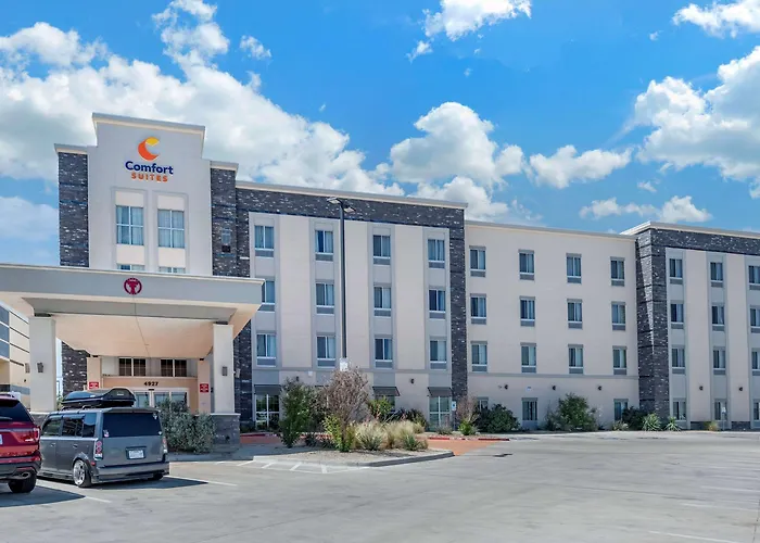 Comfort Suites - University