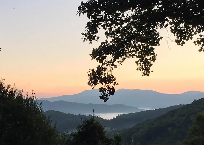 Misty Peak