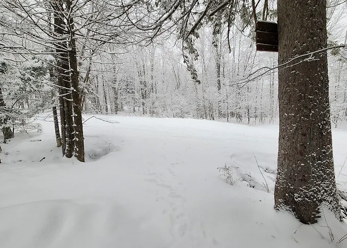 Ski In/Out Spruce Glen Townhomes On Great Eastern Trail