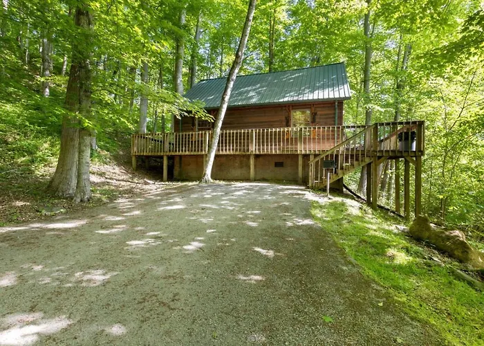 Hot Tub No Pet Fee - Beary Secluded - Rrg